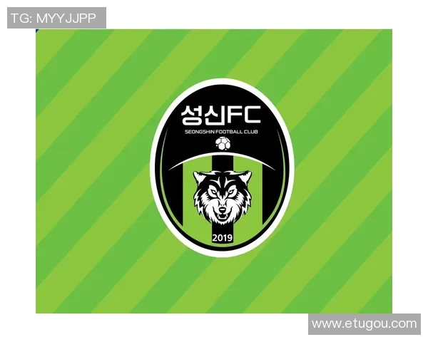 武汉足球队运营分析：成功与挑战并存的背后故事