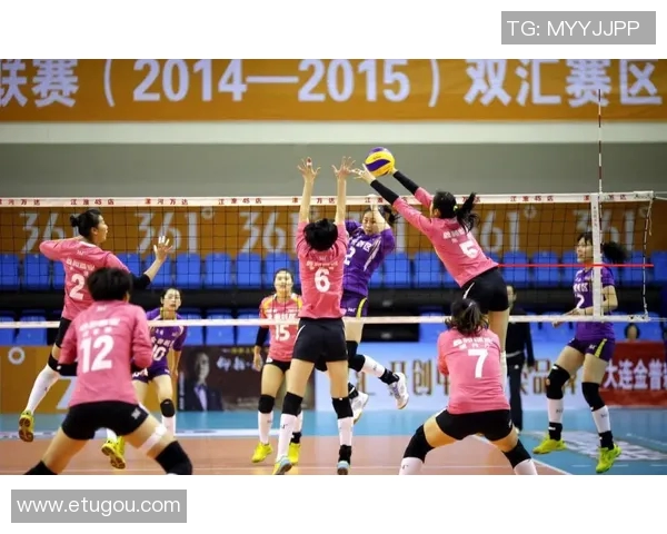 深度对话杨秀英分享她的排球人生与奋斗历程的精彩故事 深度对话杨秀英分享她的排球人生与奋斗历程的精彩故事