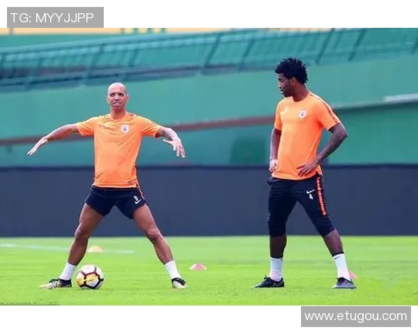 深圳网球队在世界杯积分榜上以71分稳居第一名引发关注