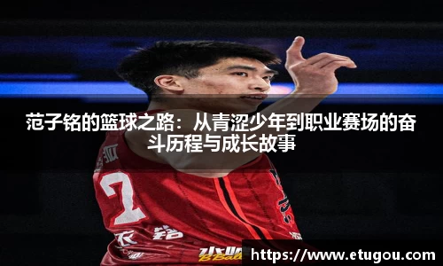 爱游戏ayx官方网站